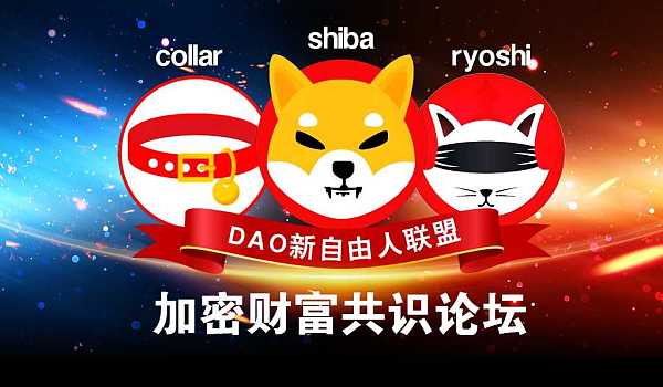 闪耀的明珠在数字世界的浩瀚星空中 闪耀的明珠在数字世界的浩瀚星空中