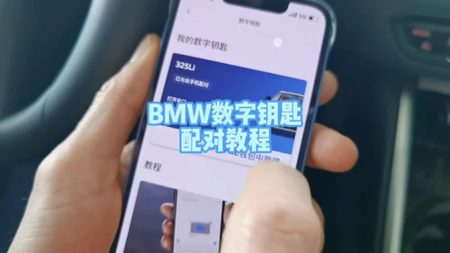 子地址钱包_imtoken主地址和子地址_btc子地址和主地址