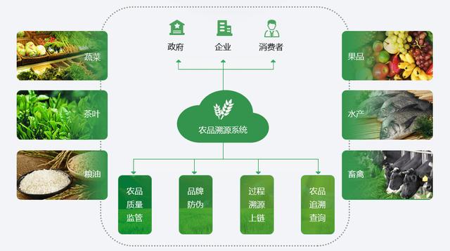 imtoken是哪个国家的平台-imToken：新加坡区块链巨头，引领全球数字资产革命