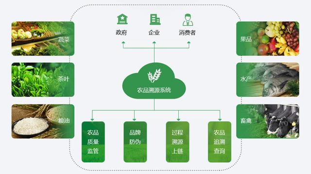 imtoken是哪个国家的平台-imToken：新加坡区块链巨头，引领全球数字资产革命