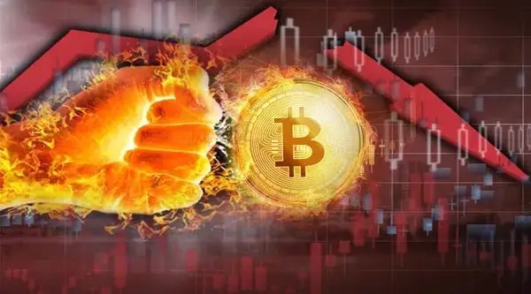 imtoken可以创建几个钱包-ImToken 能创建几个钱包？一文读懂数字钱包管理之道