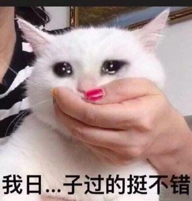 im钱包转账成功页面-im 钱包转账成功，激动心情堪比中彩票！转账页面设计酷炫，快来看看