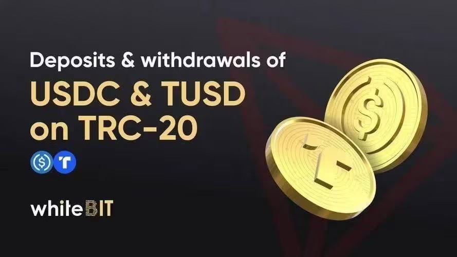 排名前10的装修公司_imtoken排名_排名第一的仙侠手游
