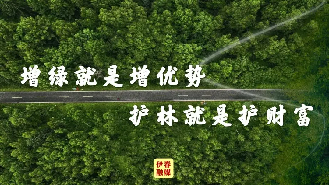 imtoken网站链接安全-小心！imToken 安全问题不容忽视，这些要点你必须知道