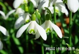 imtoken数字钱包转账_imtoken钱包转账教程_数字钱包转账