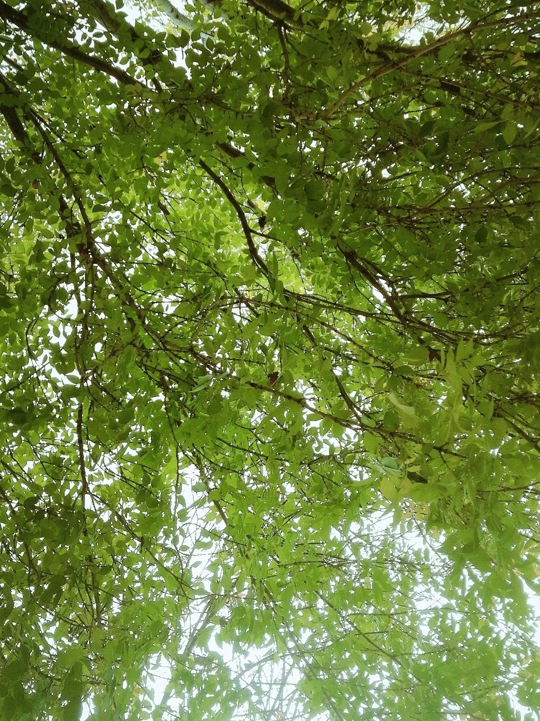 im钱包怎么注销_钱包注销什么意思_钱包注销用户什么意思