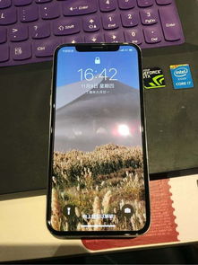 苹果手机怎么登不上skype,苹果手机无法登录Skype的解决攻略