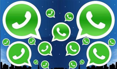 whatsapp 离婚,离婚信息引发社会热议