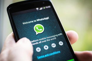 whatsapp的信息标志,解锁即时通讯的秘密