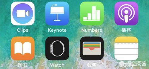 苹果手表怎么下载WhatsApp,操作指南与使用技巧