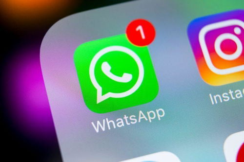 苹果机用不了whatsapp原因,常见原因及解决方案解析