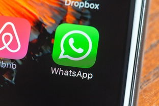whatsapp mute check,一键掌握消息免打扰技巧