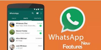 whatsapp 导入聊天记录,保留重要对话
