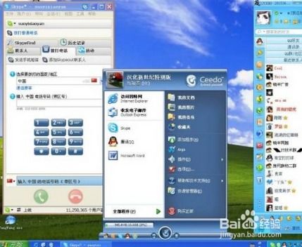 u盘的skype文件,功能与技巧深度解析