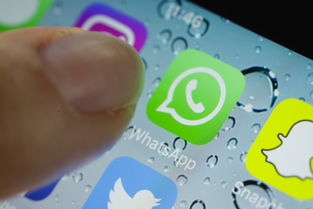 whatsapp siri,打造无缝沟通新体验