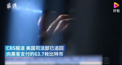 加密货币油管视频,技术、骗局与市场动态