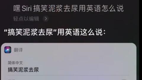 泥浆赛跑 泥浆赛跑