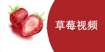 草莓免费小说 