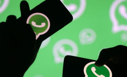 建制派whatsapp,社交新