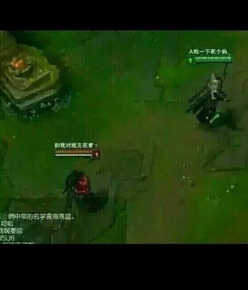 神奇世界追逃与搞笑 神奇世界追逃与搞笑