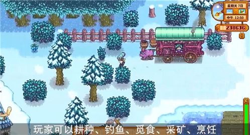星露谷物语 