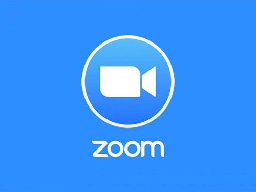 ipadskype录像,Skype iPad 录像精彩瞬间回顾