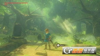 塞尔达传说王国之泪港版 